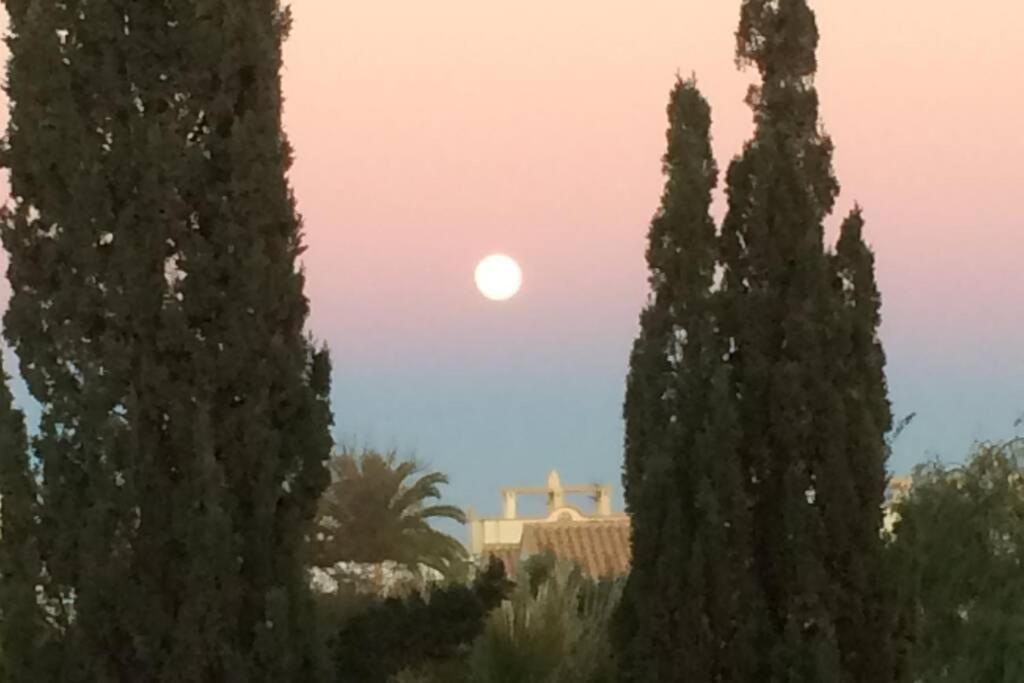 Privates Ferienhaus Villa De Paz - Costa Blanca Orihuela Exteriör bild